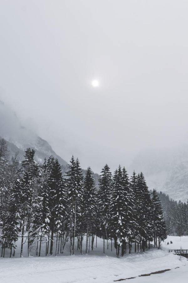 Klass 210 Kranjska Gora Kültér fotó