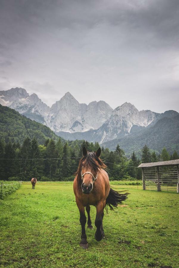 Klass 210 Kranjska Gora Kültér fotó