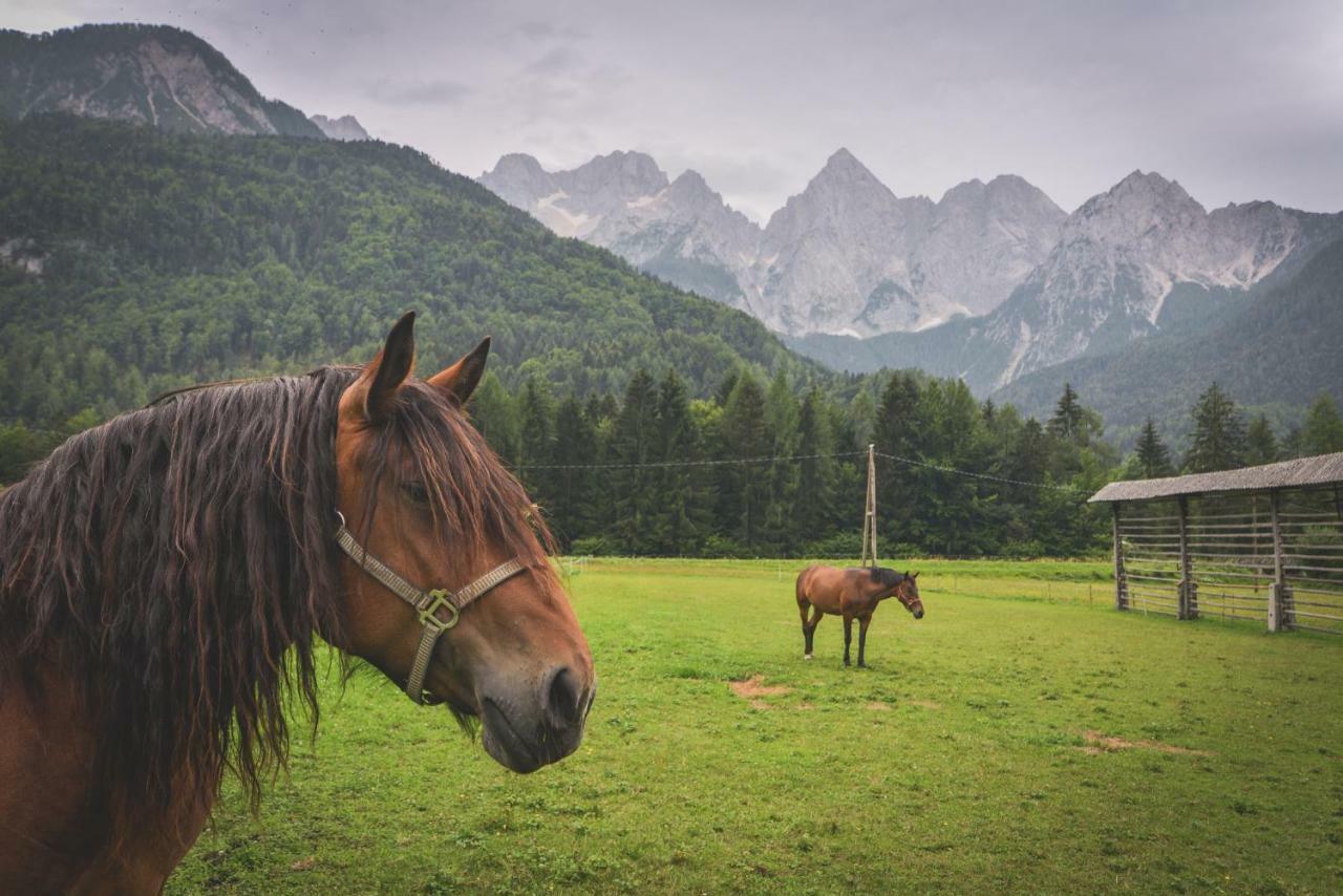 Klass 210 Kranjska Gora Kültér fotó